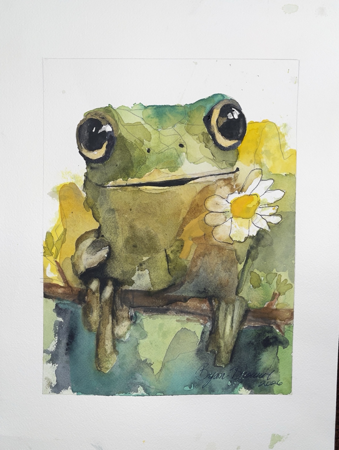 A Daisy a Day, a watercolor of a green tree frog holding a white daisy by Bryan Brouwer
