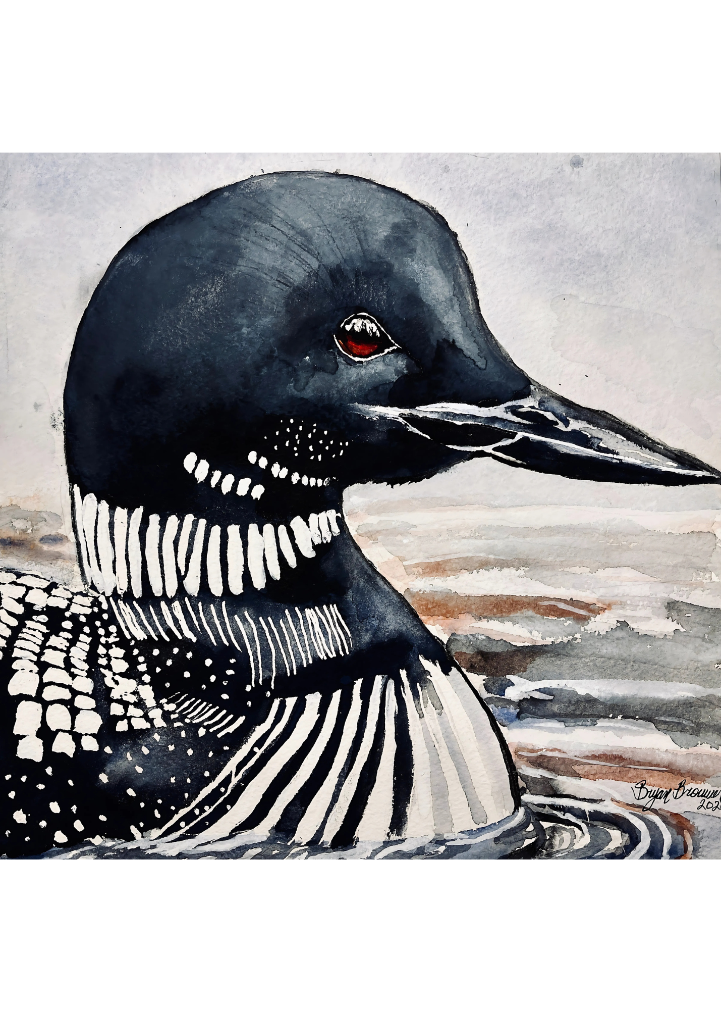 Call of the Loon, a watercolor of a Common Loon by Bryan Brouwer