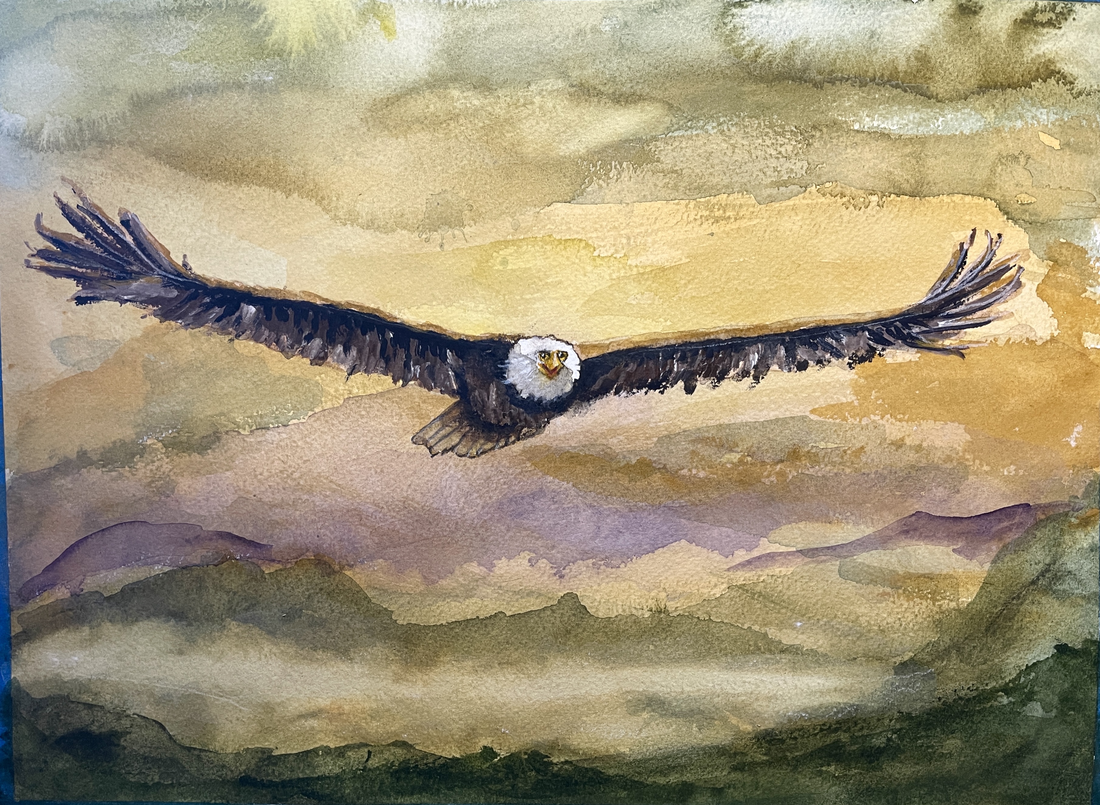Eagle, a watercolor of a bald eagle in flight by Bryan Brouwer