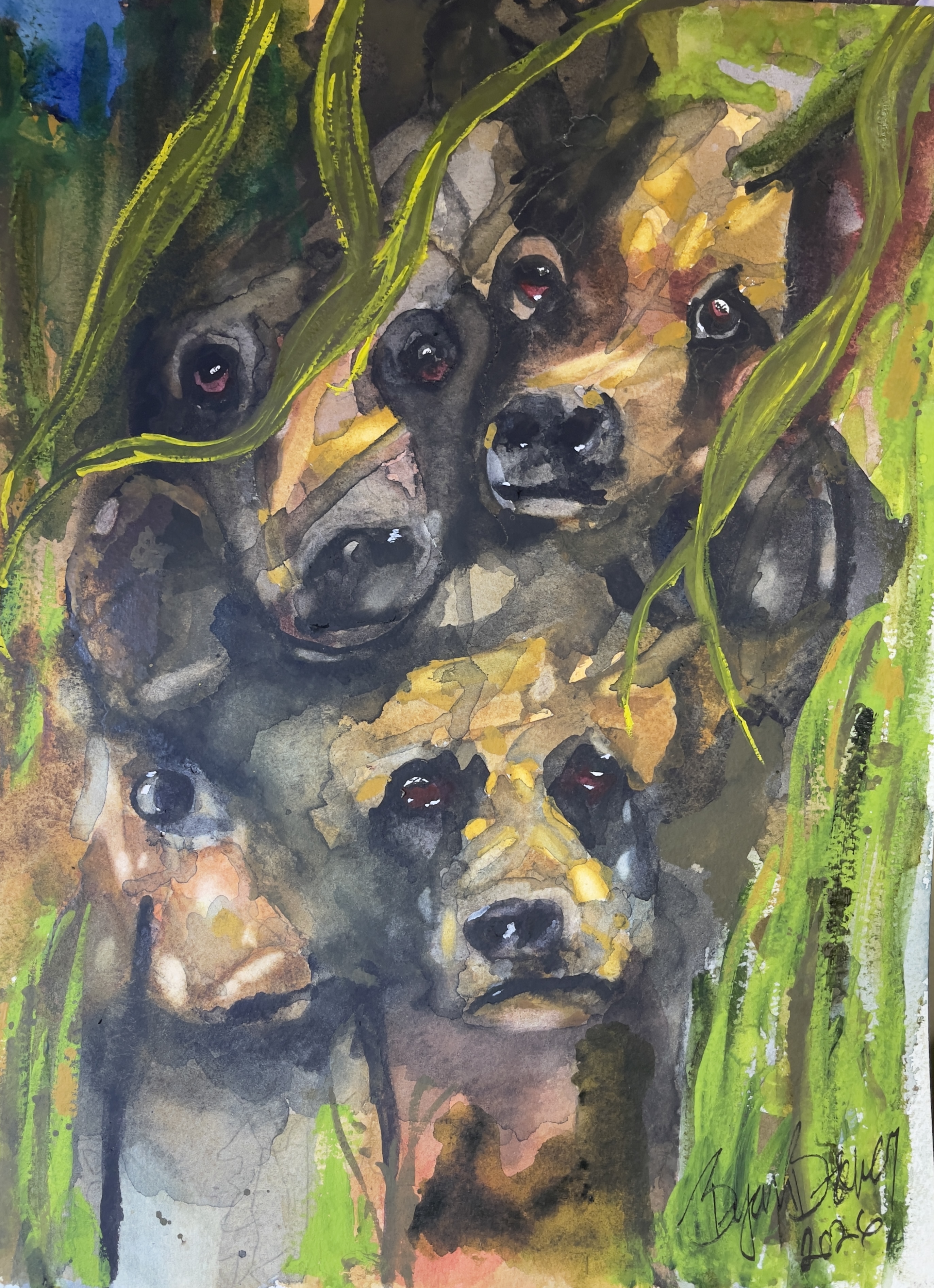 The Four Curious Bears, a watercolor of four black bears by Bryan Brouwer