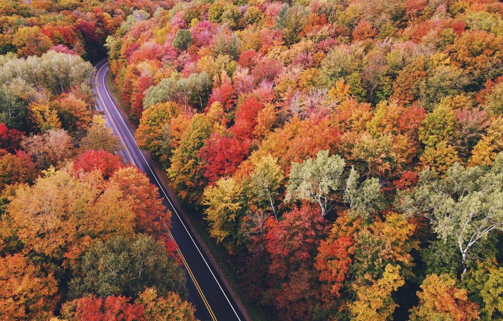 An aerial view of a curving road surrounded by red, orange, yellow, and green fall foliage